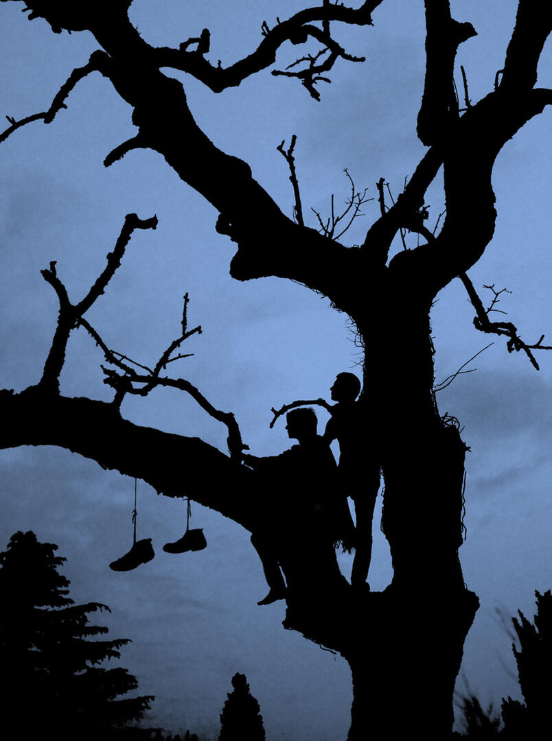 Exposition "La forêt : jours et nuits"