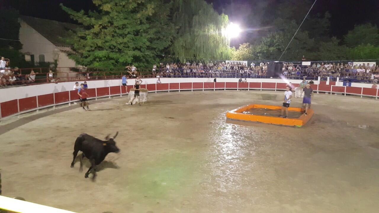 toropiscine