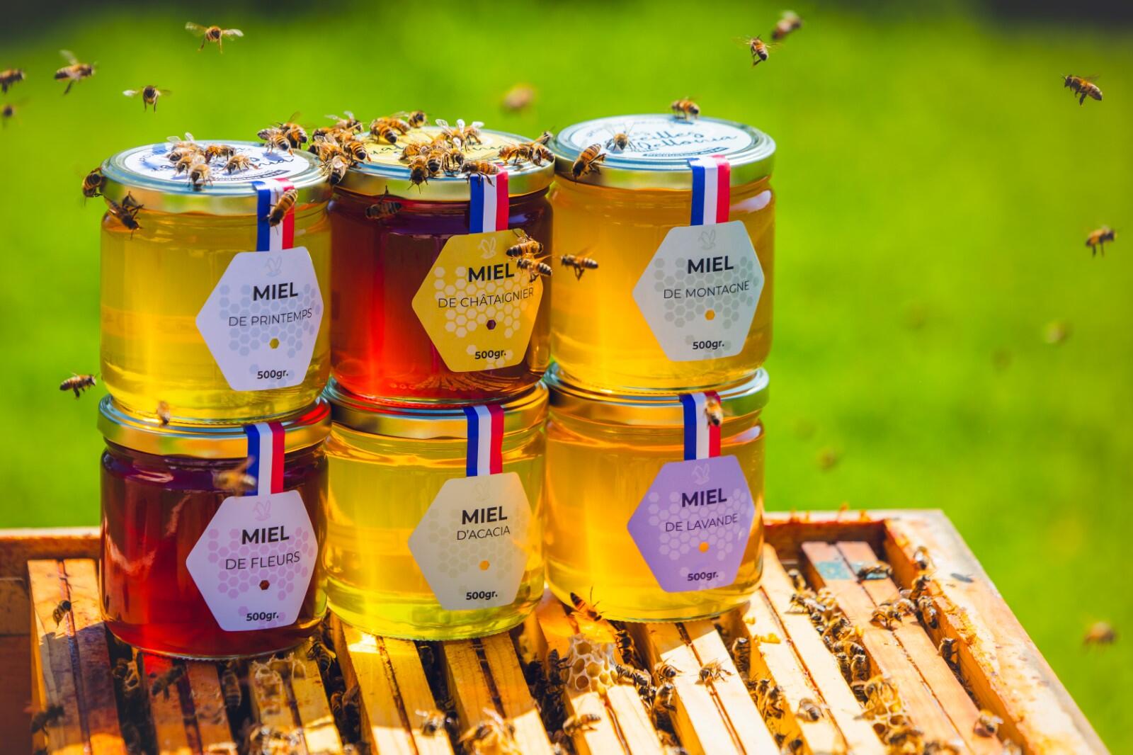 Initiation à la dégustation aux Abeilles de Méllonia_Curtafond
