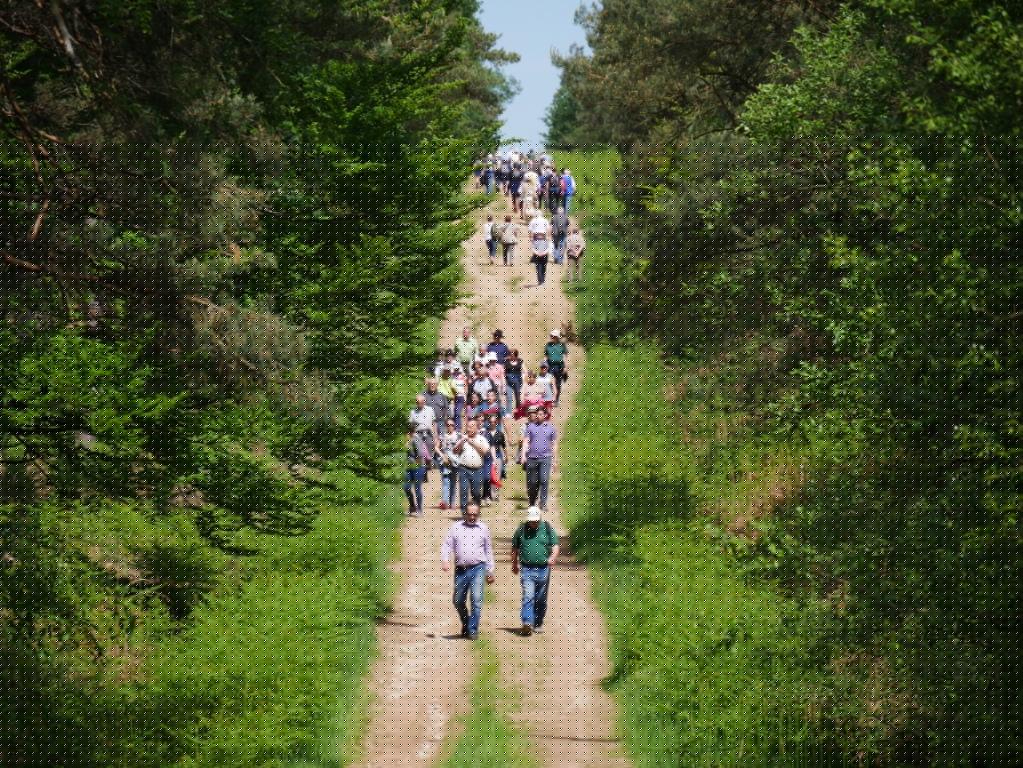 Randonnée pédestre et VTT_Urçay
