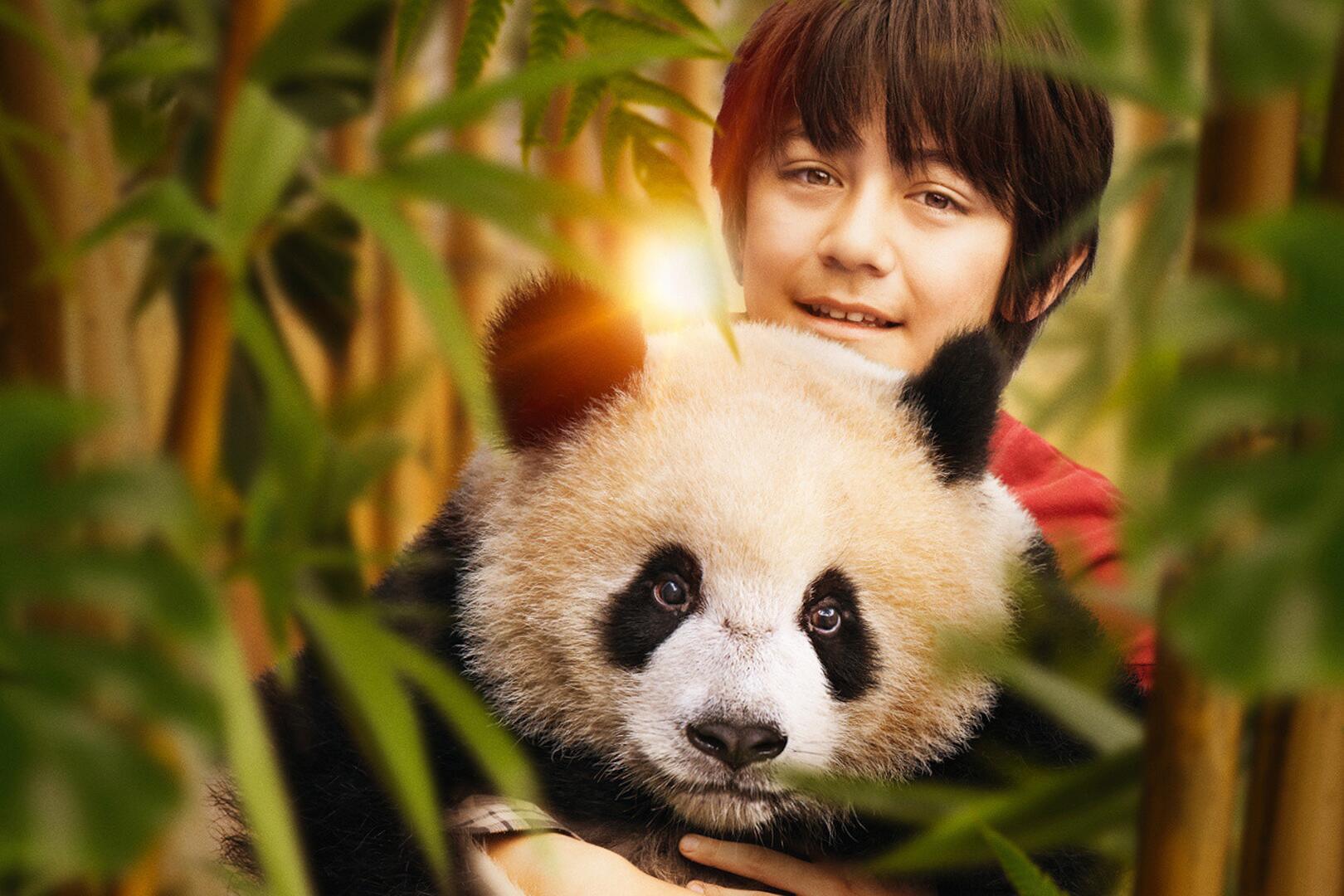 Séance de cinéma "Moon le panda"_La Giettaz