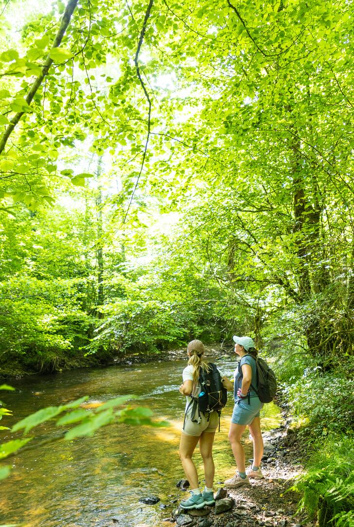 Au fil de l'Isable_Souternon