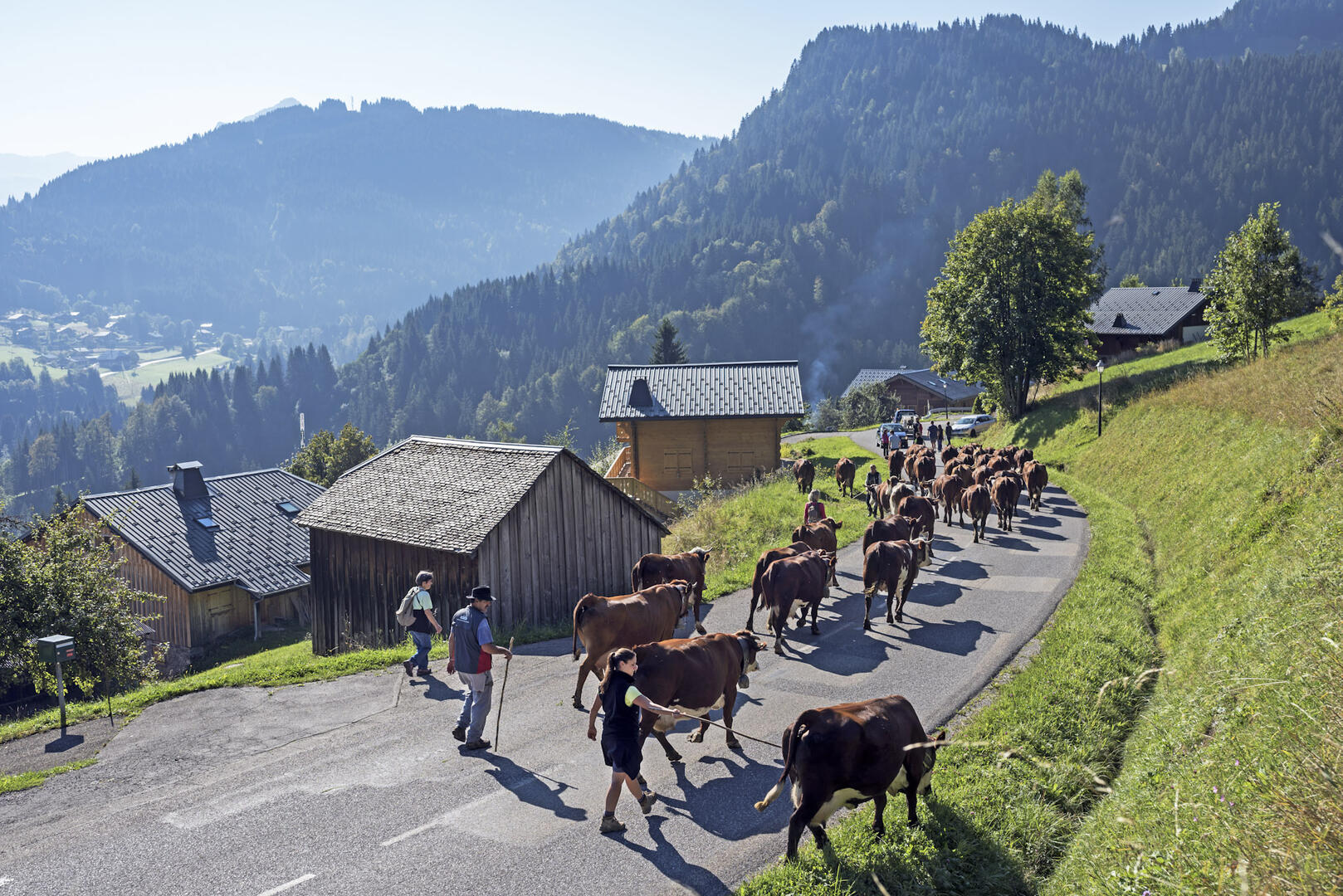 Démmontagnée dans le Géoparc du Chablais