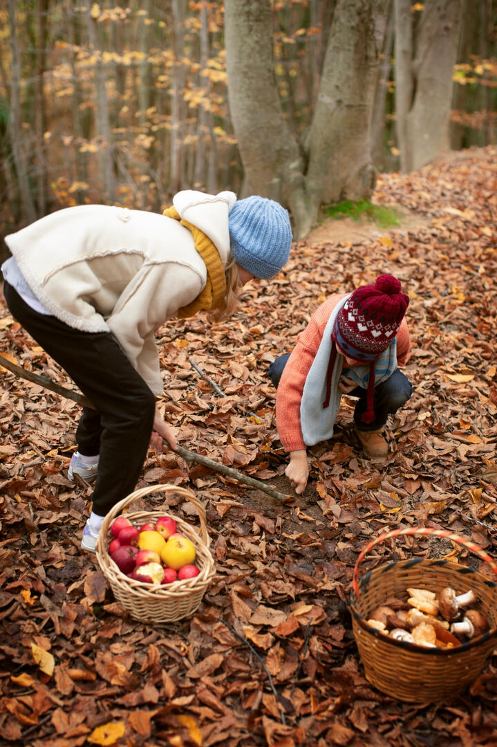 Balade "cueillette" dans les bois_Grisolles