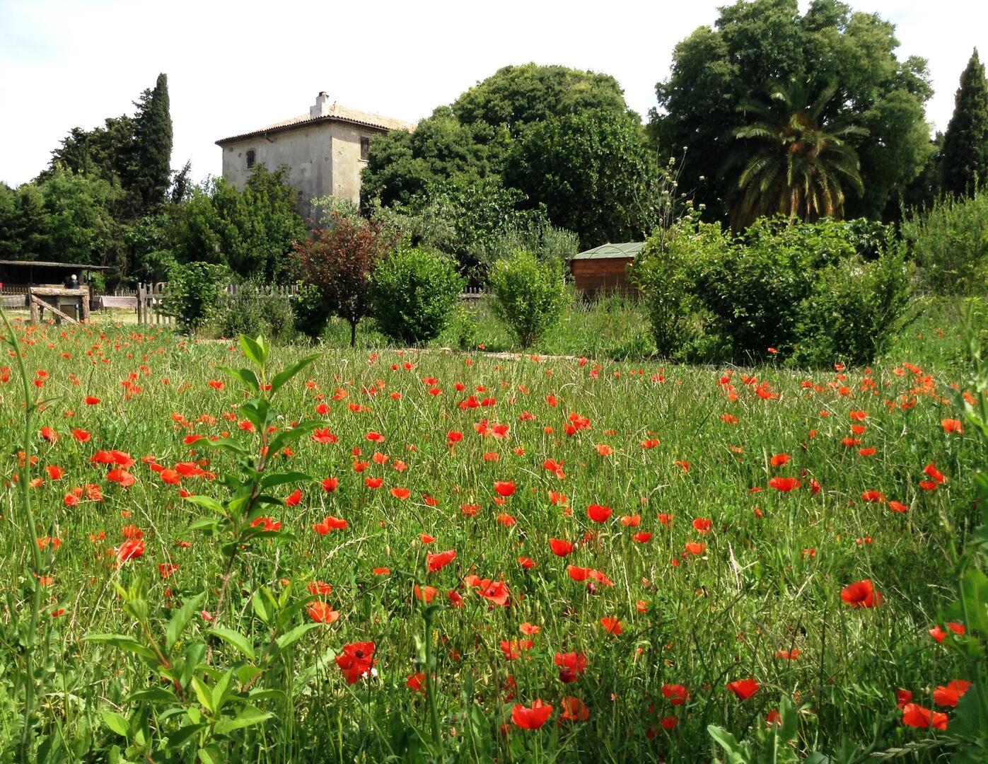 Les Jardins de la Bastide Marin