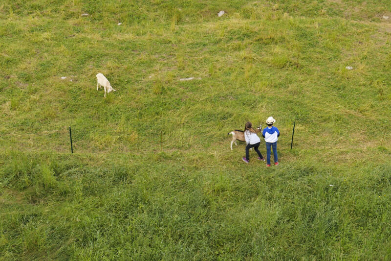 Agility Chevre