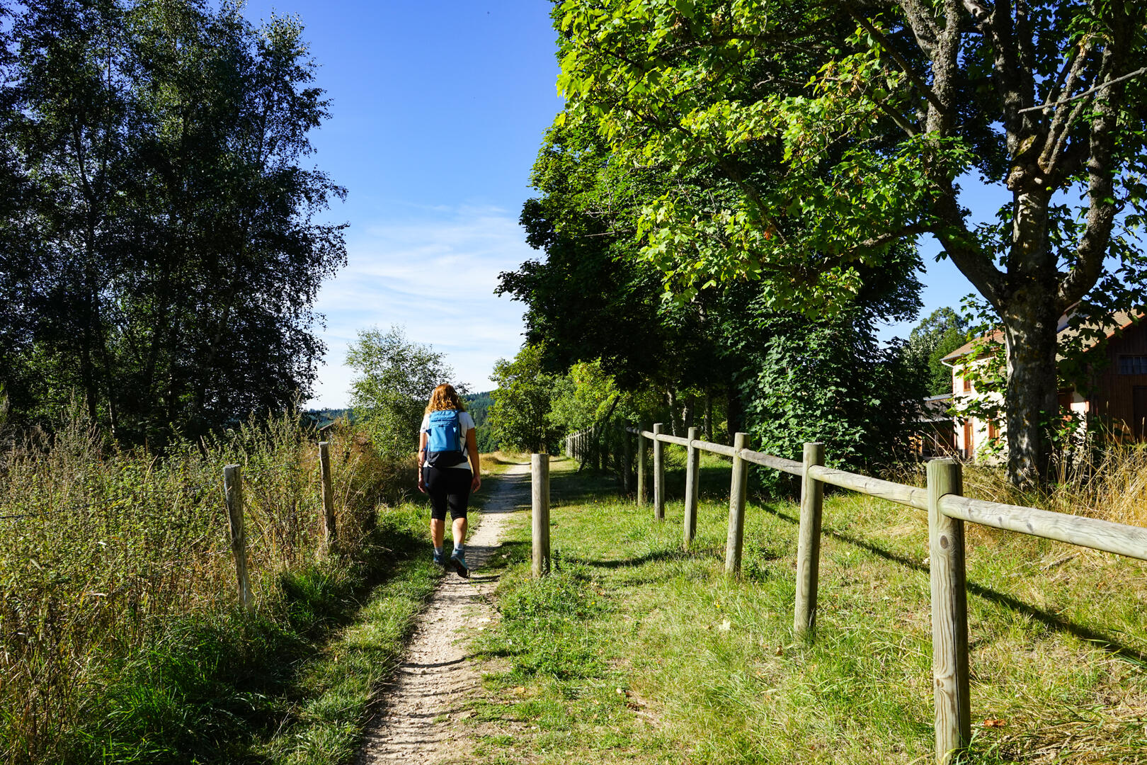 L'Aventure du rail_Saint-Marcellin-en-Forez