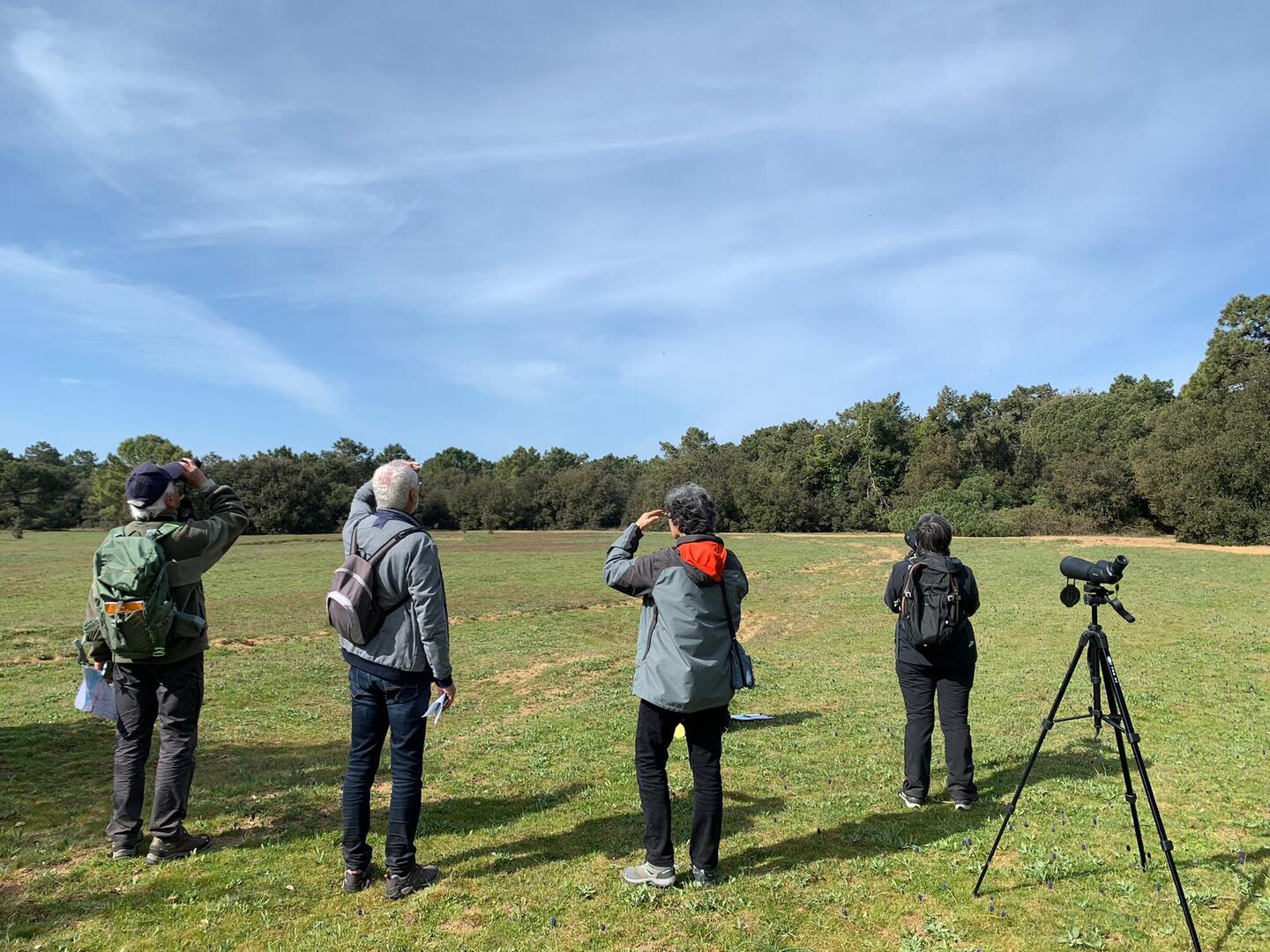 participants à la sortie "Bois des évières en observation