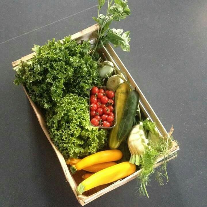 Panier de légumes