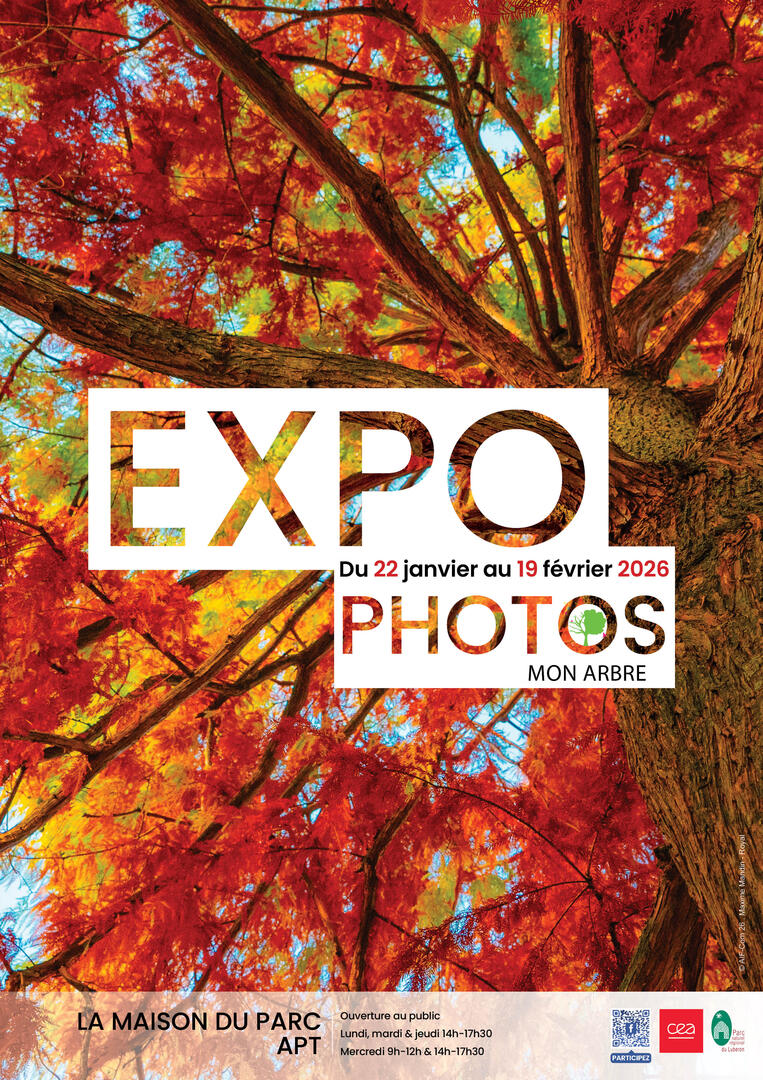 Exposition de photos : Mon arbre_Apt