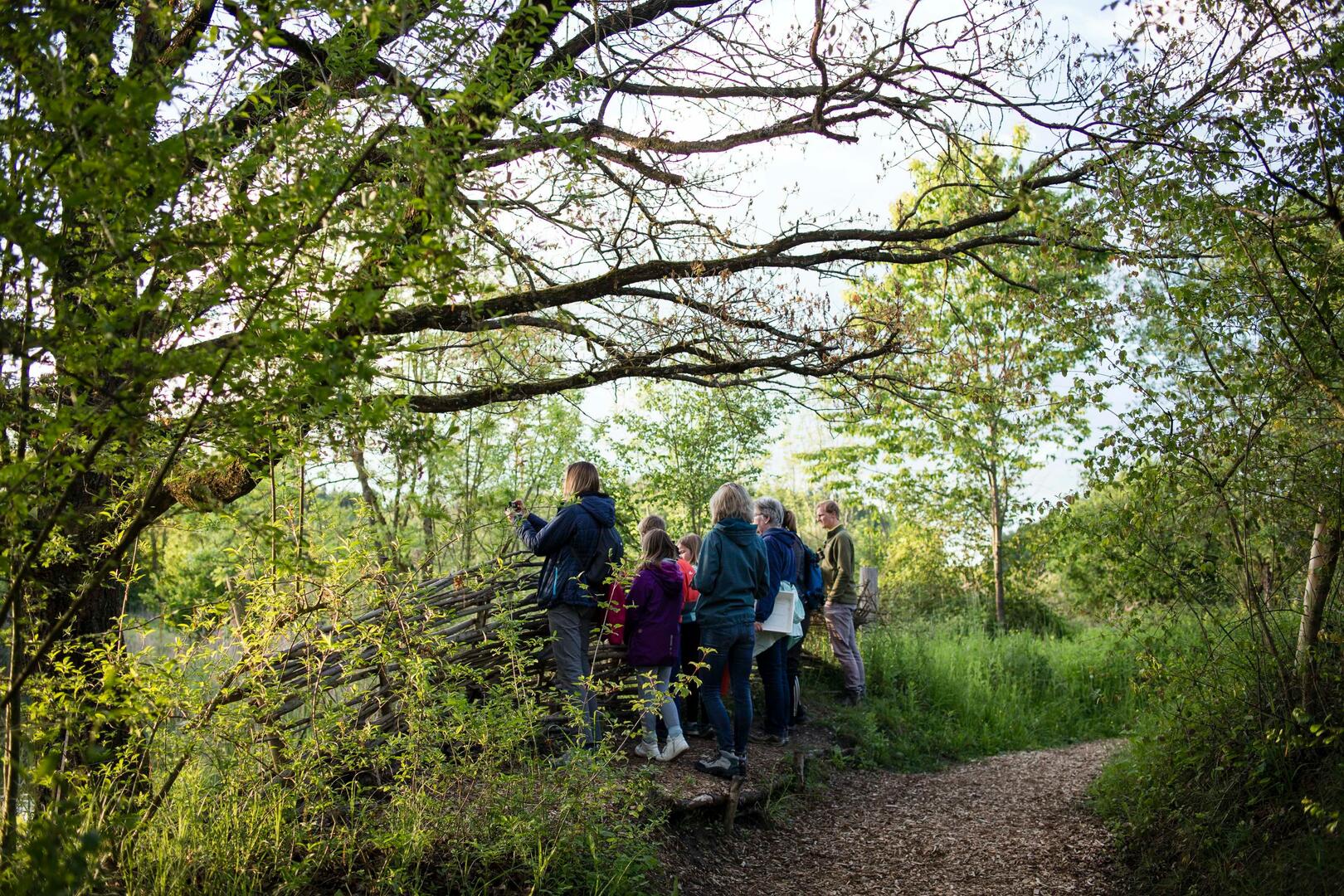 Fête de la Nature | A la rencontre des oiseaux de nos montagnes_Champoussin