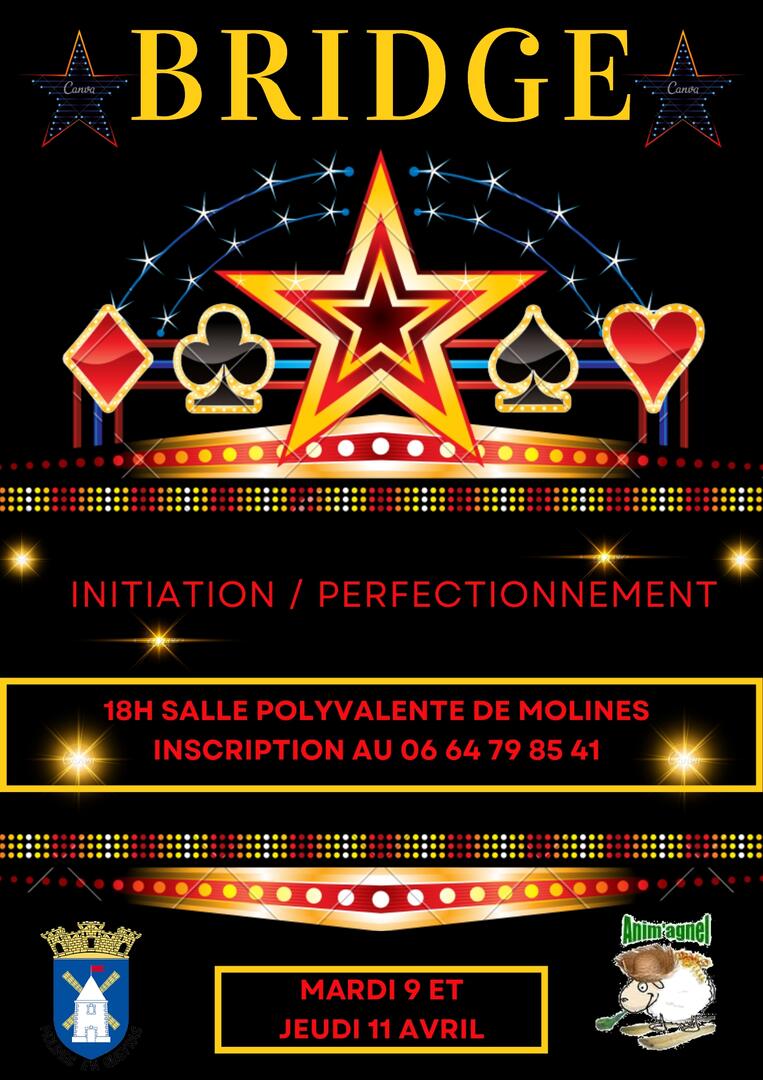 Initiation/perfectionnement au bridge