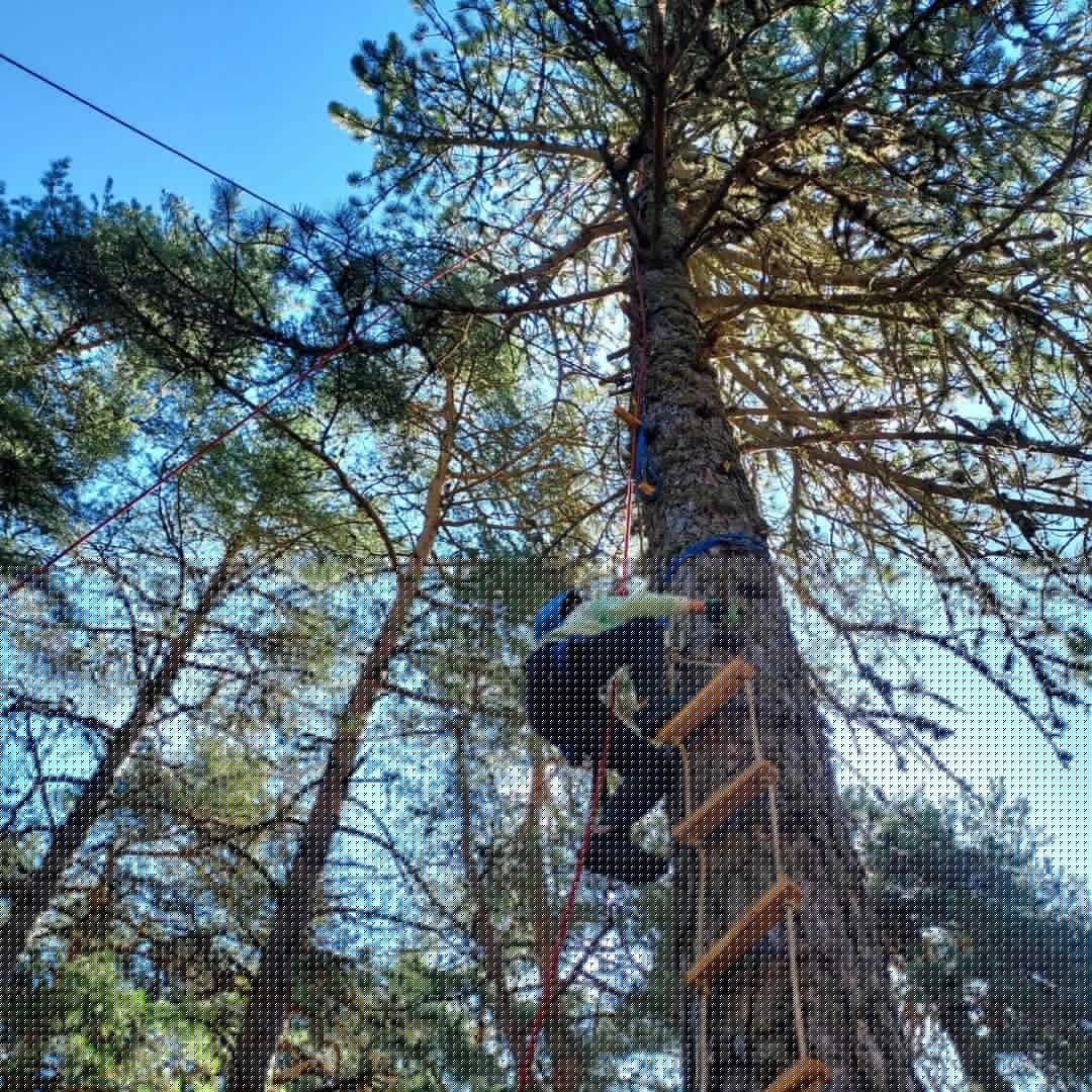 Grimpe dans les arbres pour les ADOS_Oz-en-Oisans