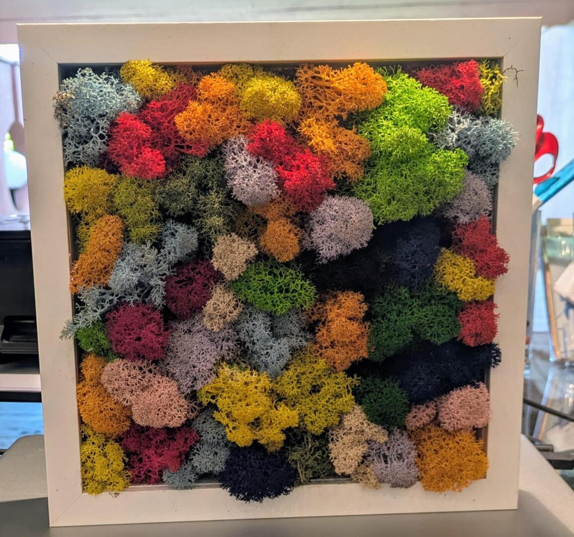 Exposition de Julien Roudié_Lafrançaise