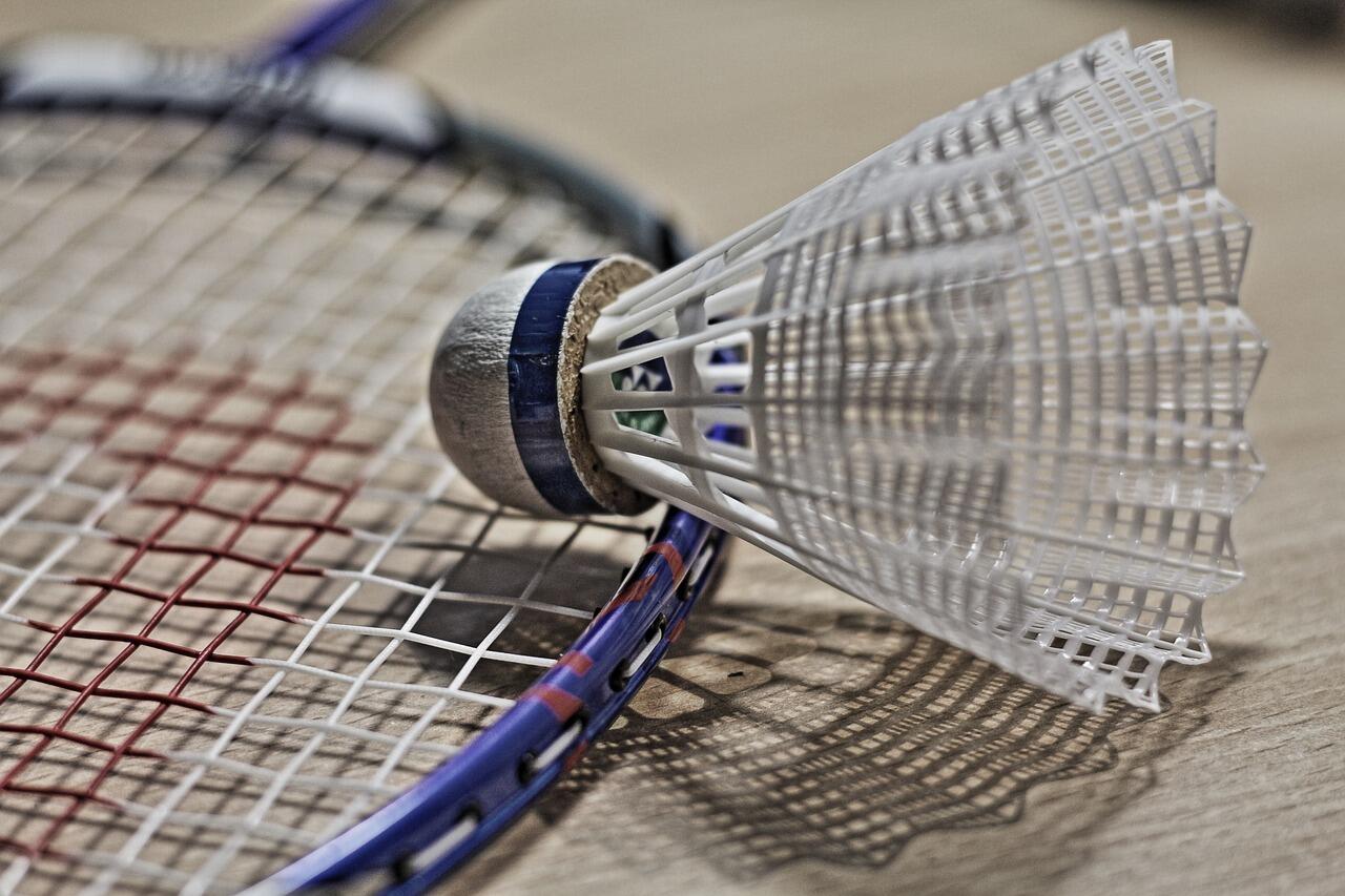 Club de badminton - Les fous du volant