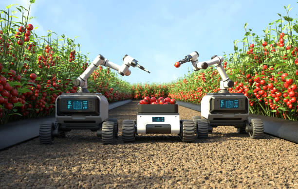 Fablab : Découverte des robots Thymio_Montluçon