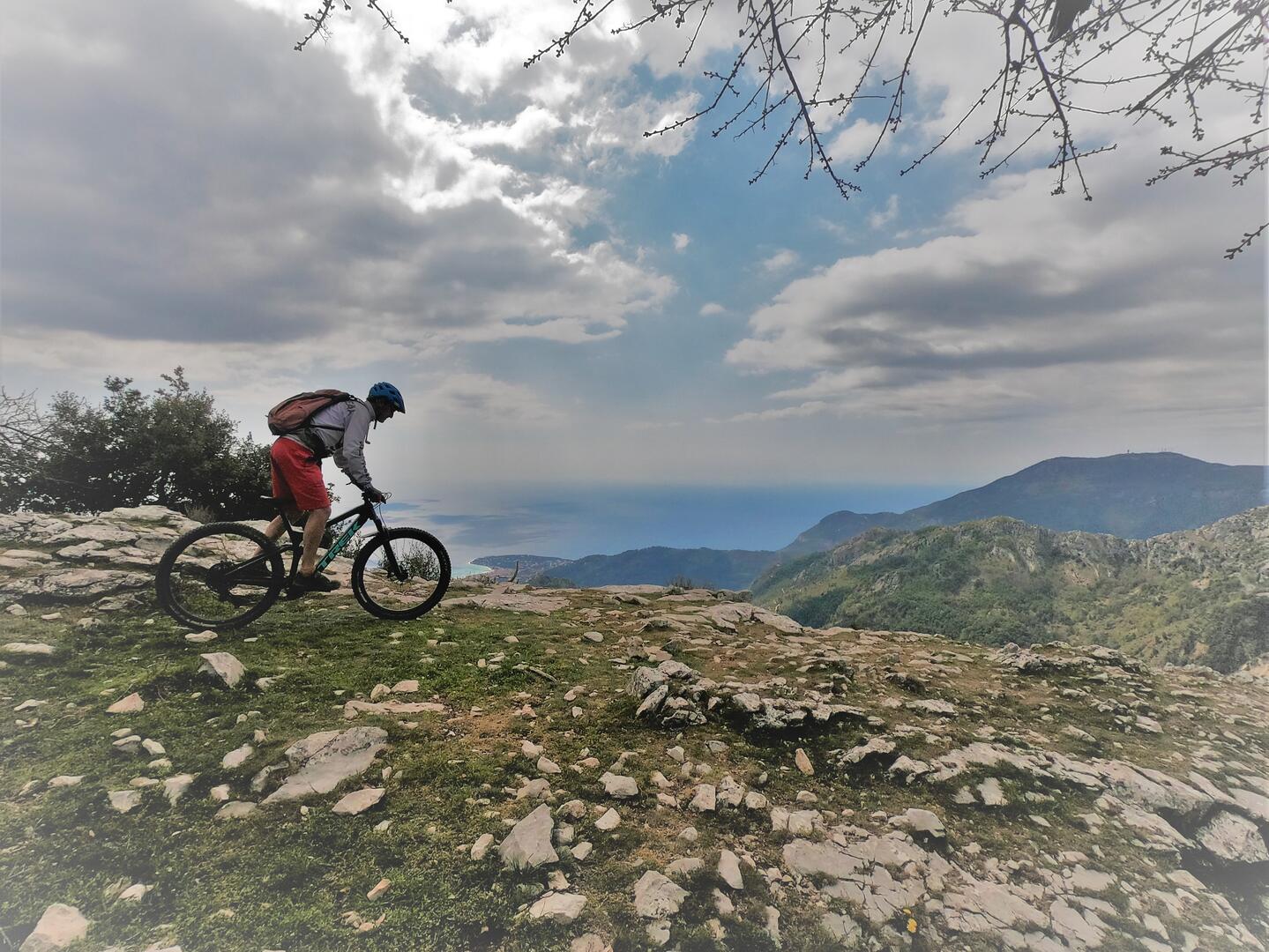 VTT