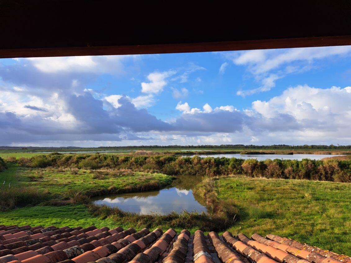 Découverte de la biodiversité_Breuil-Magné