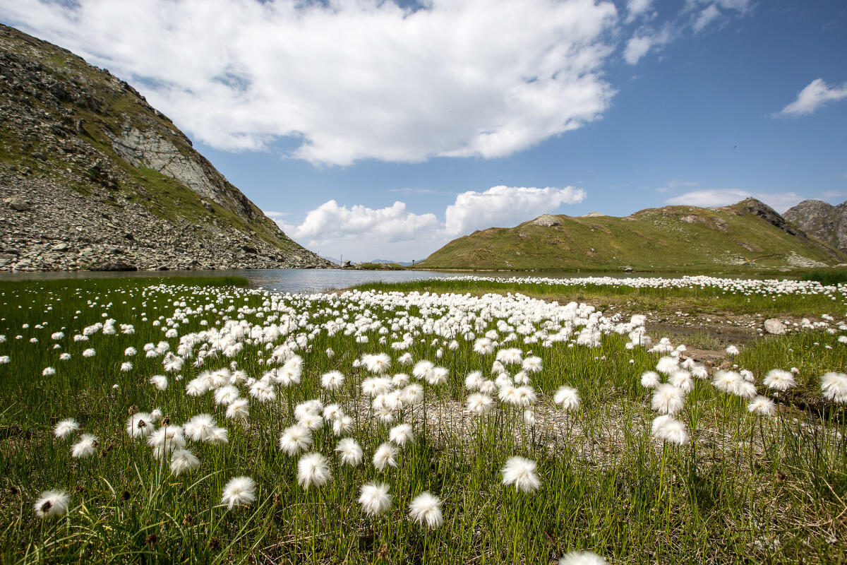 Nature autour de Verbier et sentiers de randonnées Lac des Vaux