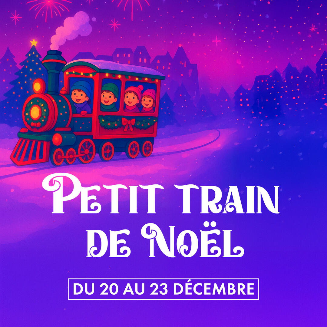 Petit train de Noël_Moissac