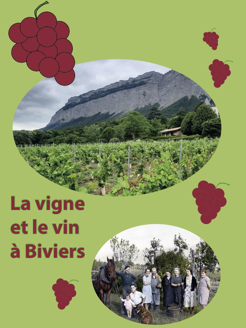 vigne_et_vin_a_biviers.png