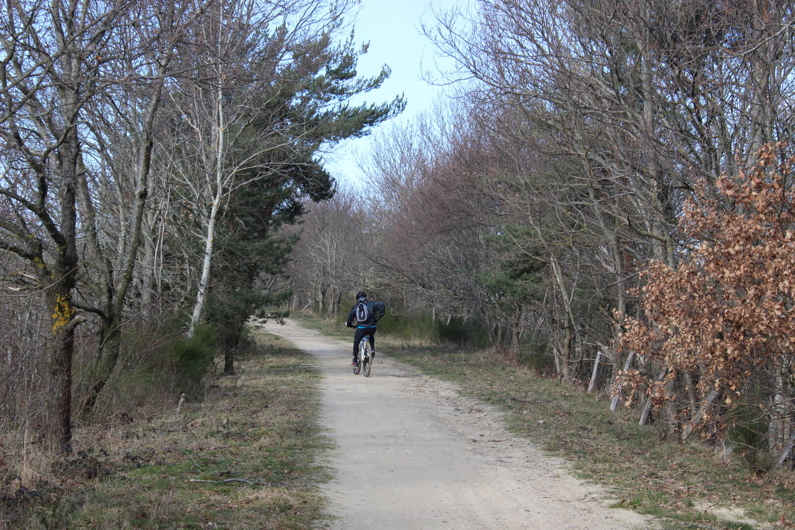 L'Aventure du rail_Saint-Marcellin-en-Forez