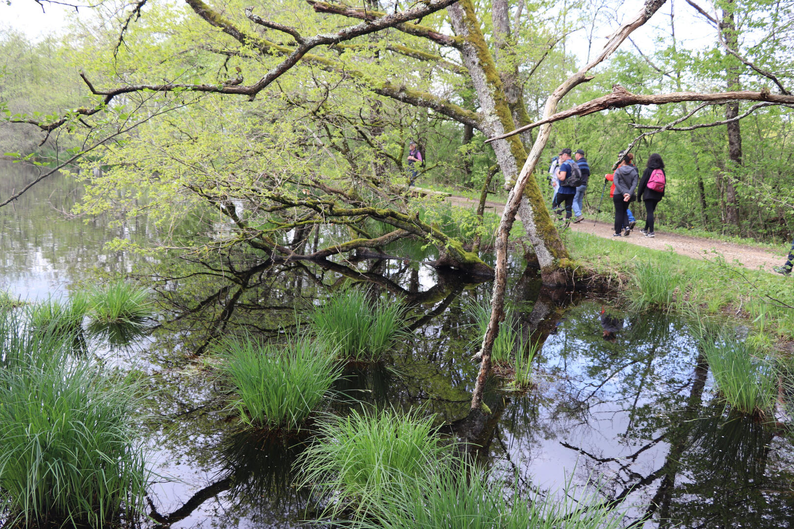 Expérience sensorielle au marais de Bizadan_Bresse Vallons
