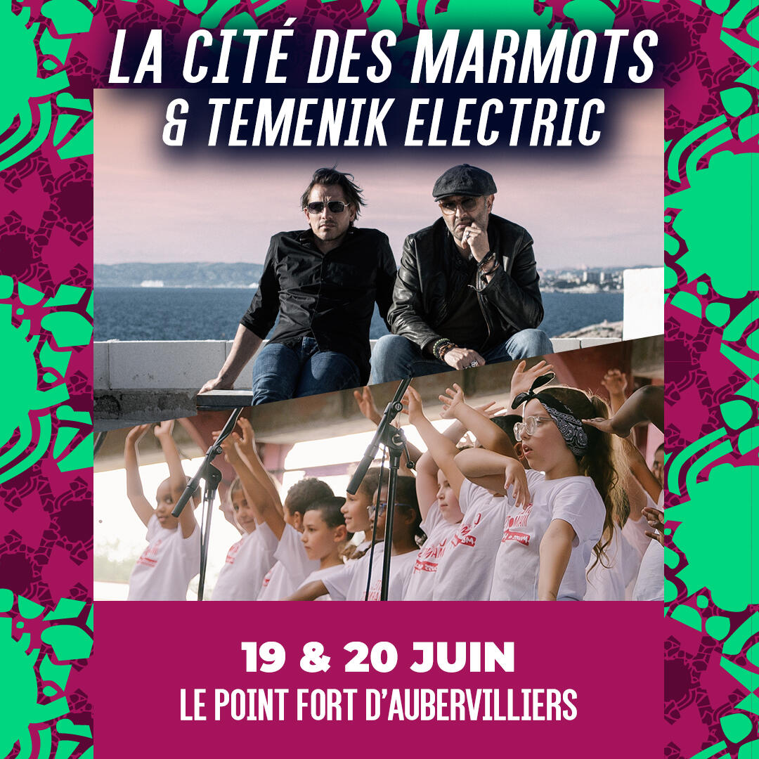 la-cité-des-marmots-temenik-electric