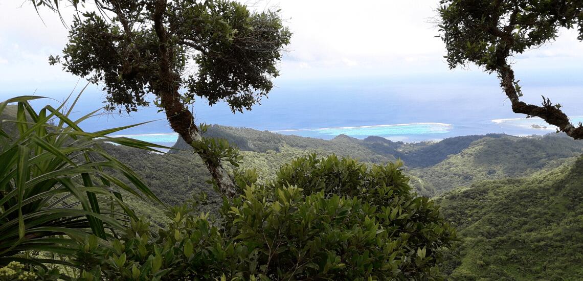 Raiatea Randonnée - Tahiti Tourisme