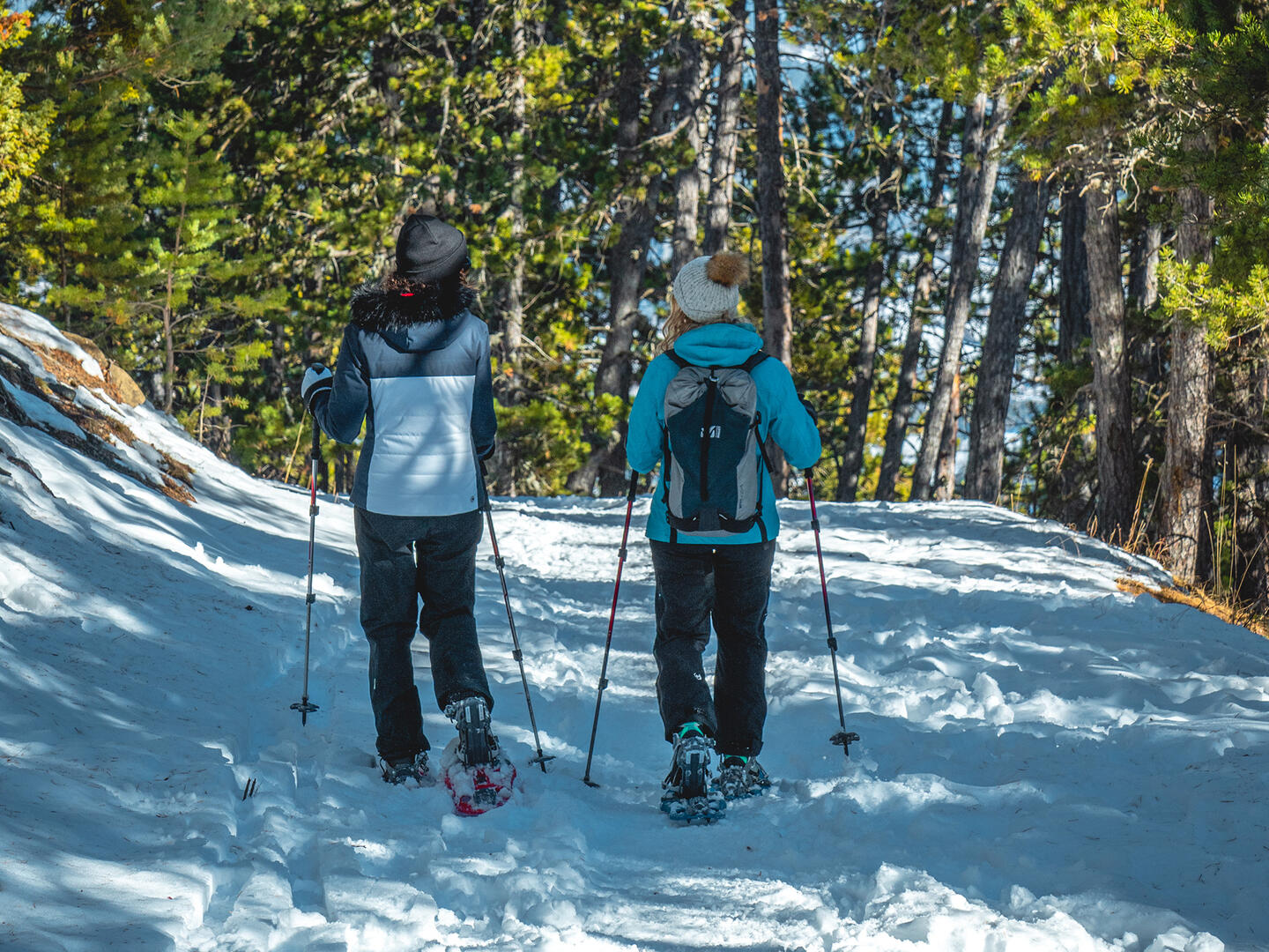 Itinéraire raquettes Rocher Jaumas