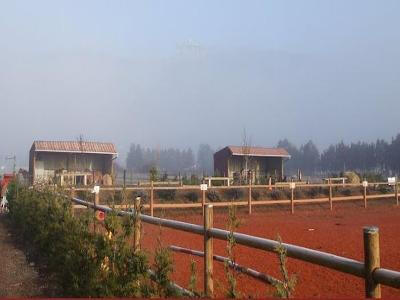13SP000607_1_WEB.jpg