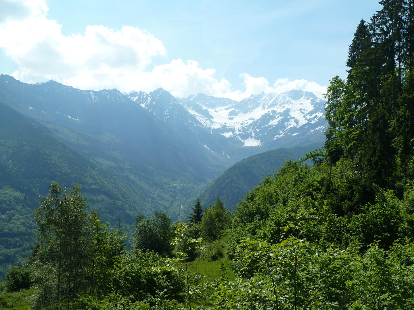 Balade sur le Sentier du Fer et atelier "Empreintes d'animaux"_Le Haut-Bréda