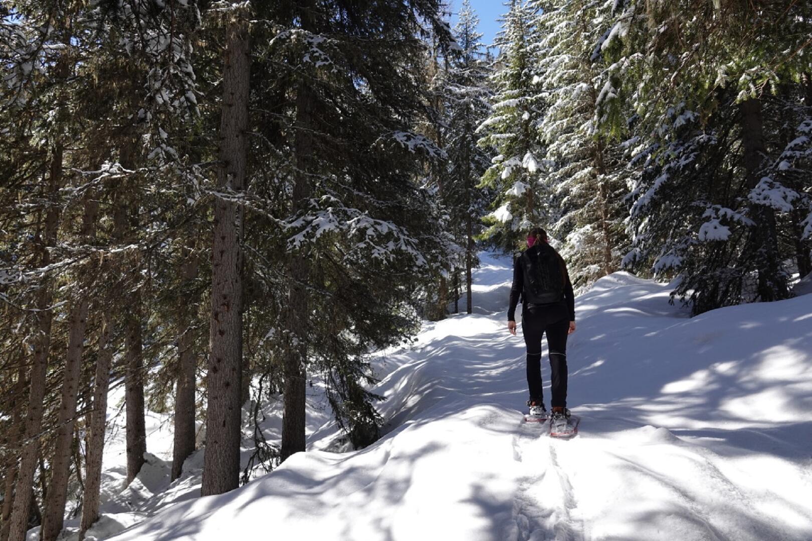 La Marlène_Raquettes Verbier