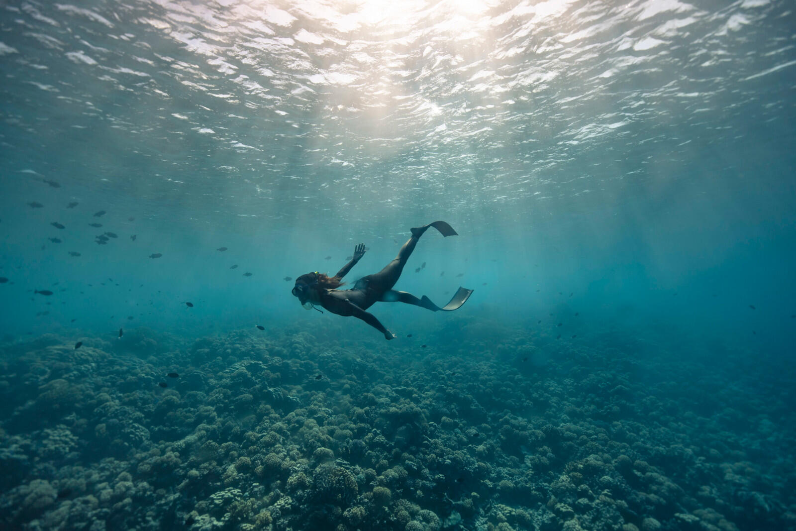 Passe de Tumakohua - Tahiti Tourisme