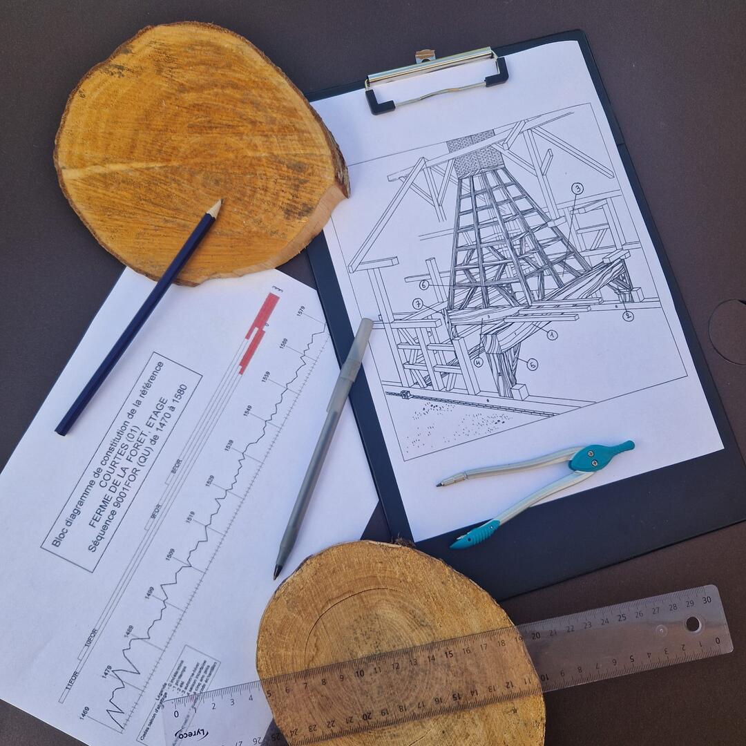 Ferme de la forêt - Apprenti archéologue_Courtes