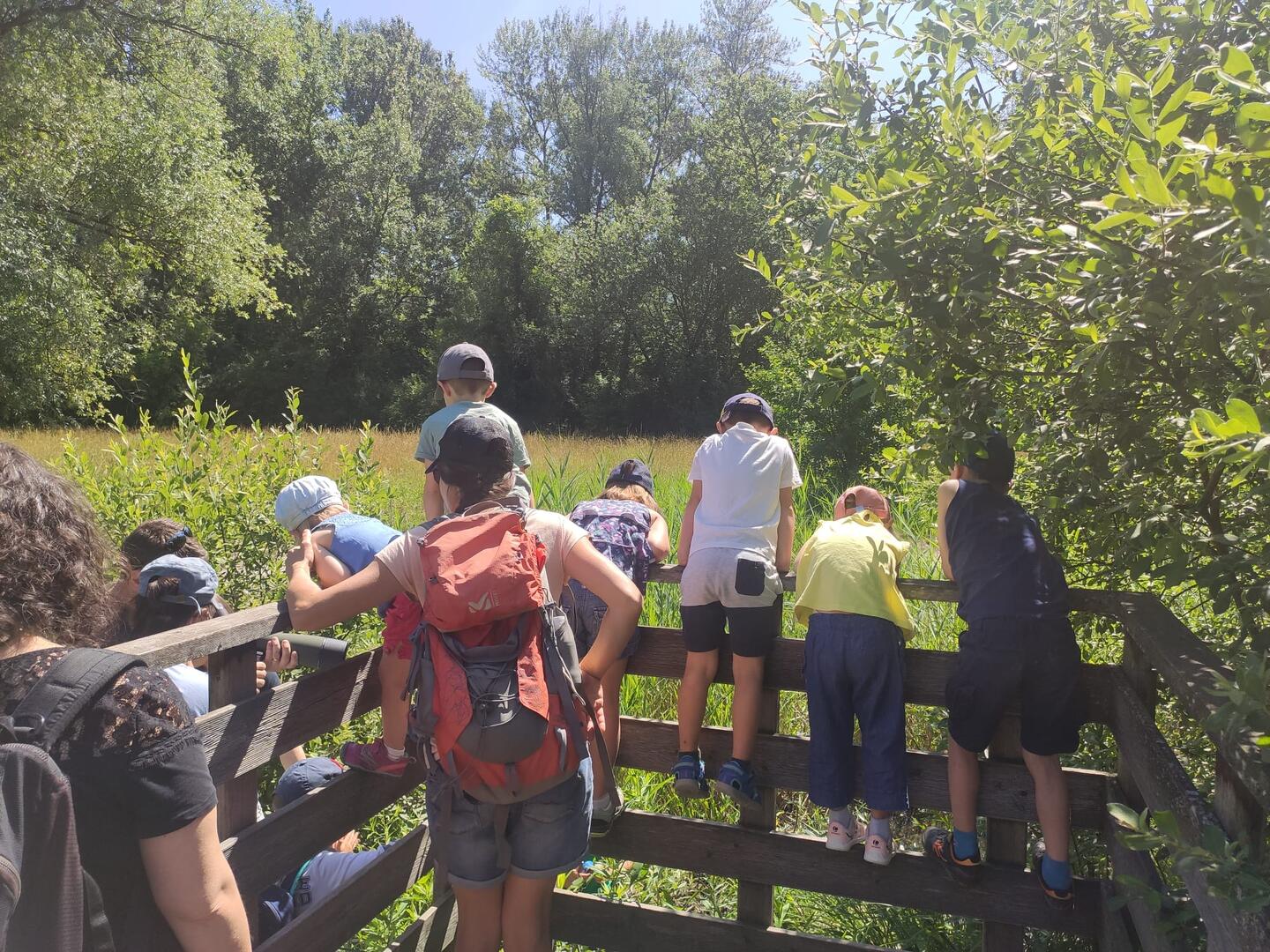 Eveil à la nature pour les tout-petits (3-6 ans)_Saint-Ismier