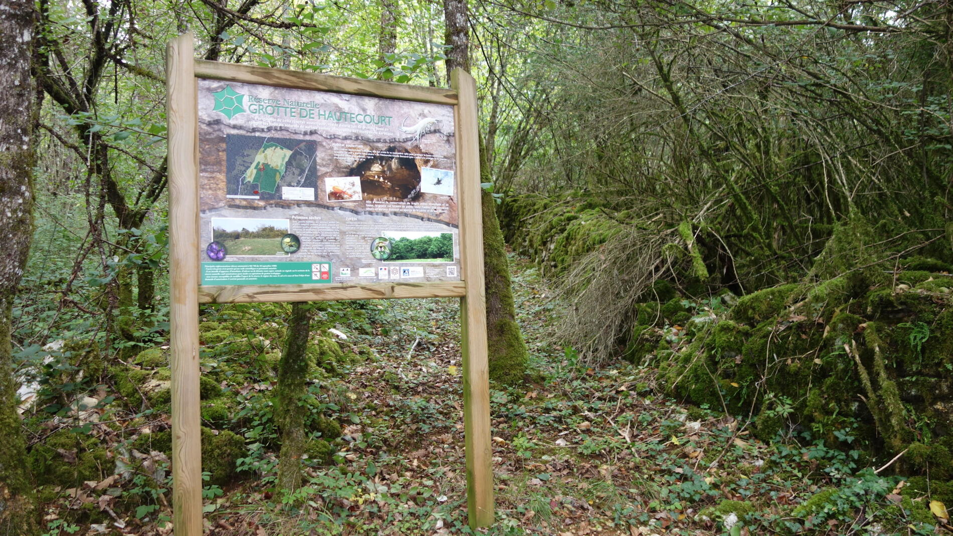 La Réserve naturelle nationale de la Grotte de Hautecourt