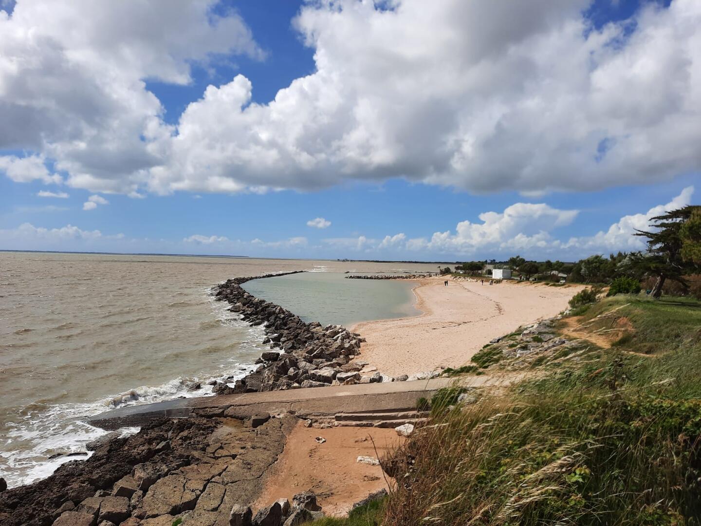 Visite guidée : Au fil de l'estuaire_Port-des-Barques
