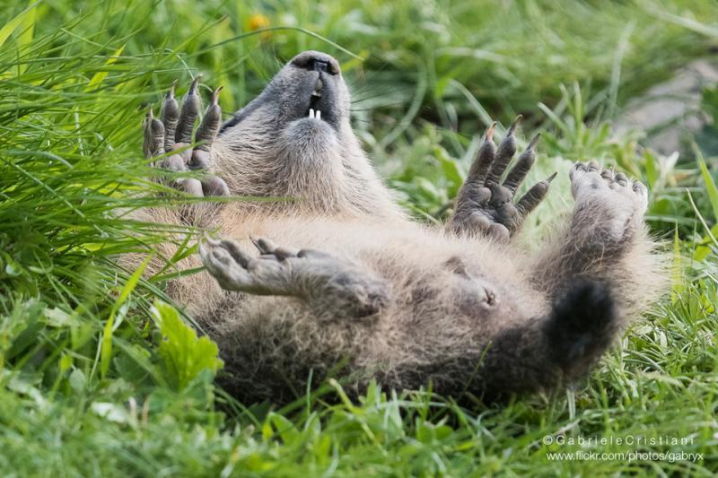 La randonnée gourmande du mercredi dans le Parc du Mercantour