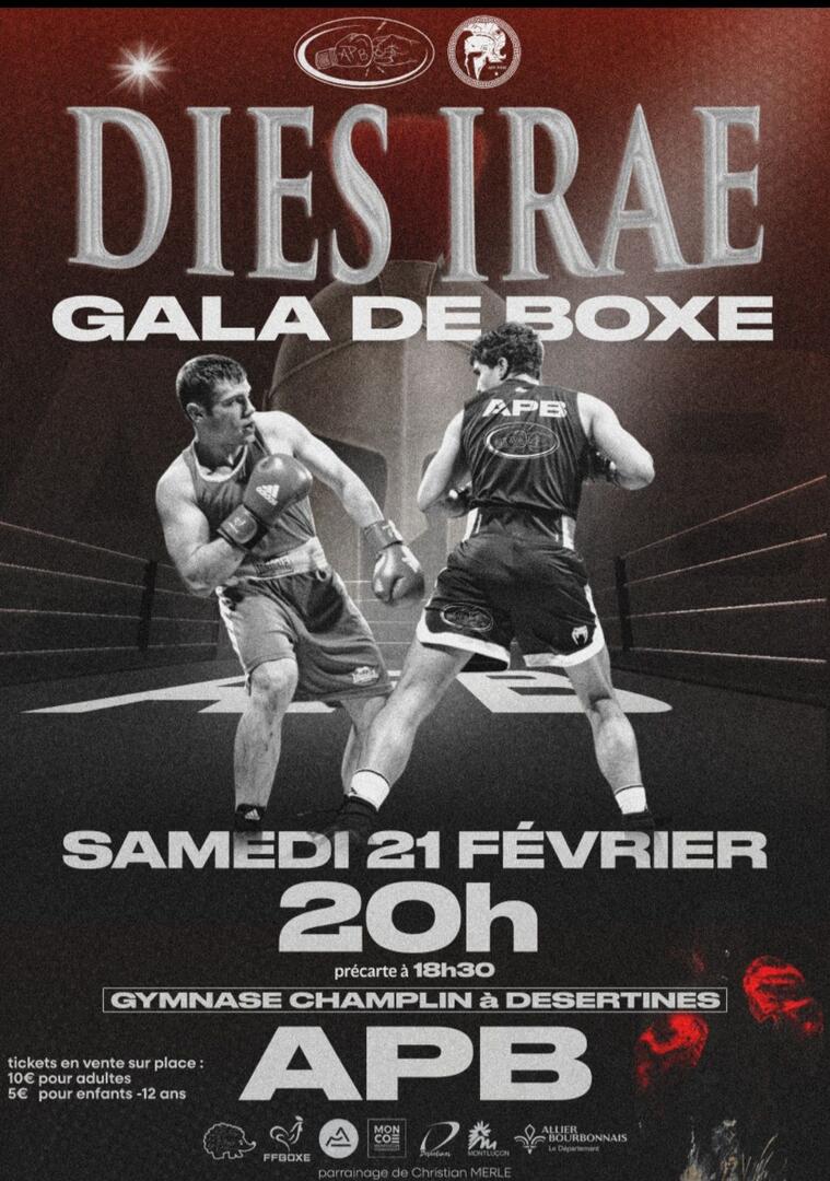Dies irae gala de boxe_Désertines