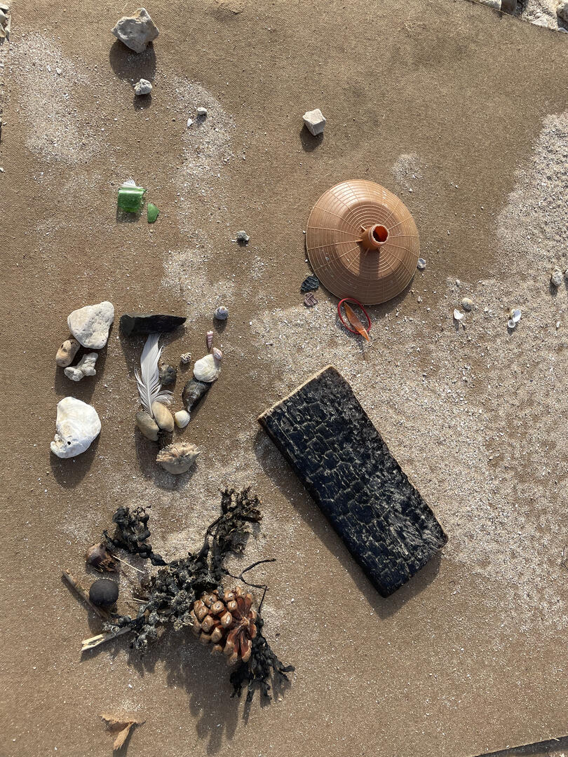 Instant Famille :  Laisse de Mer Enquête Biodiversité_Port-des-Barques
