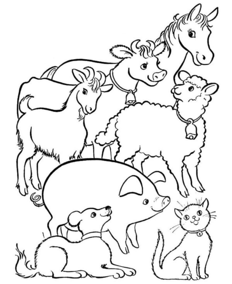 Journée des animaux à Marignane
