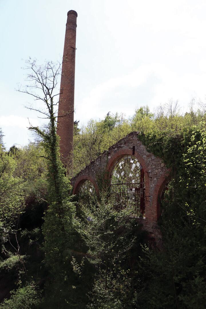 Usine de tanin