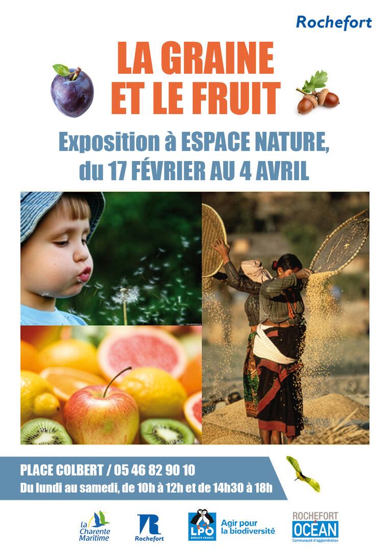 Exposition : La graine et le fruit_Rochefort