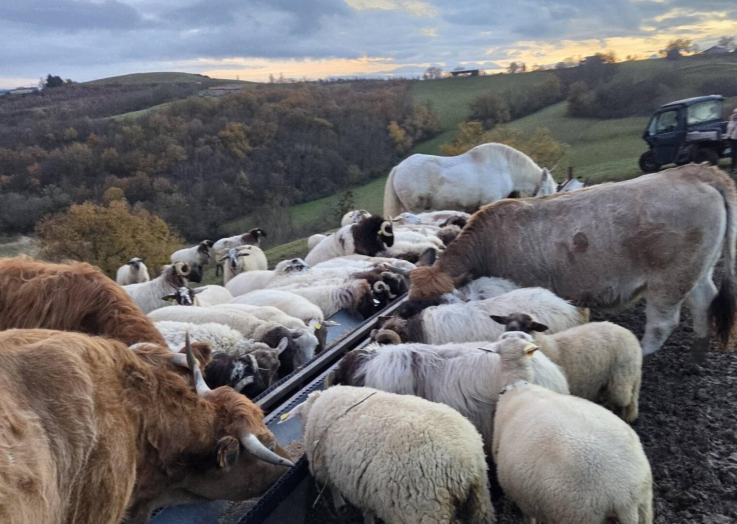 Goûter à la ferme de Castel Pouzouilh_Le Fossat