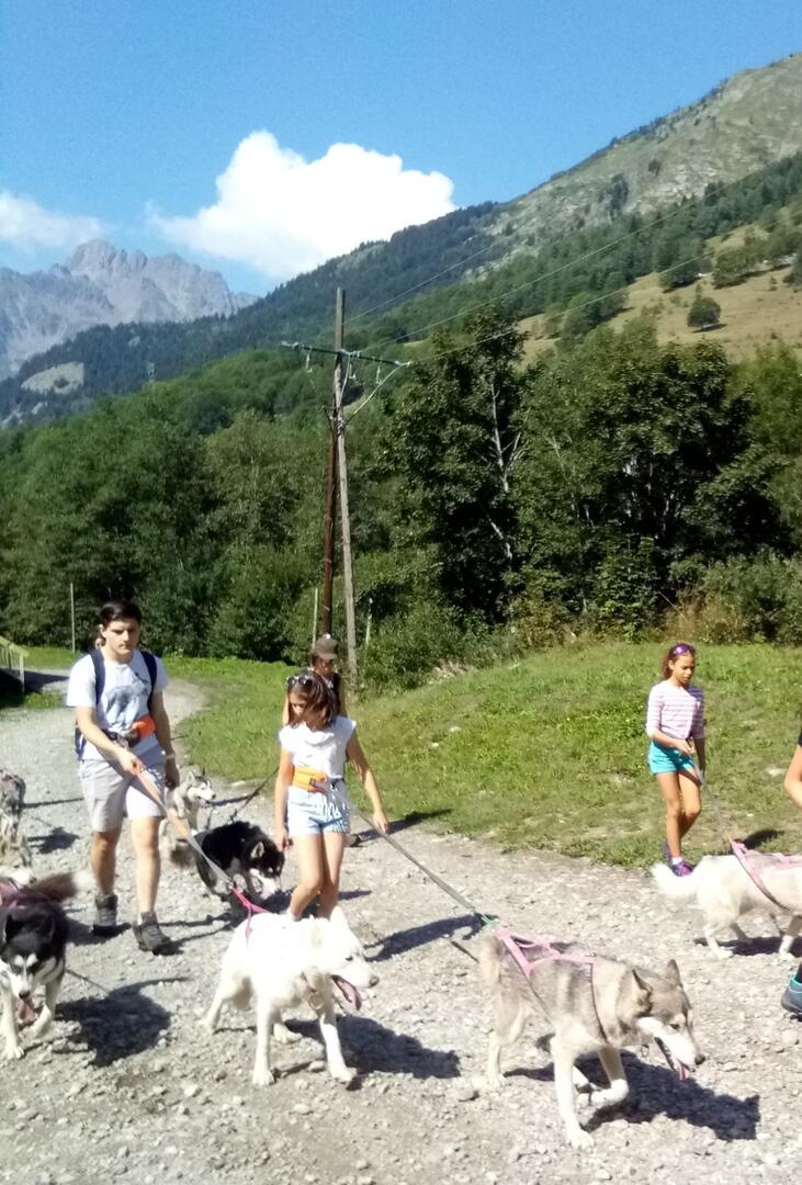 Cani Balade_Oz-en-Oisans
