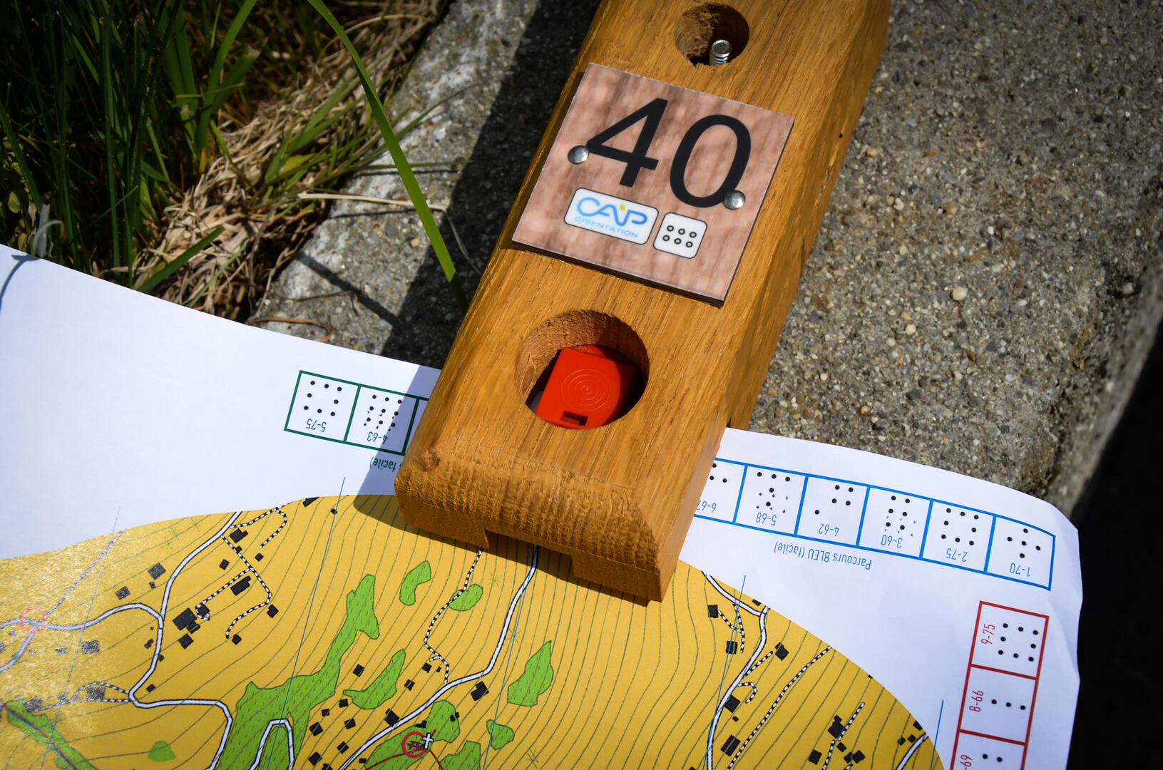 Parcours d'orientation dans le Val d'Arly
