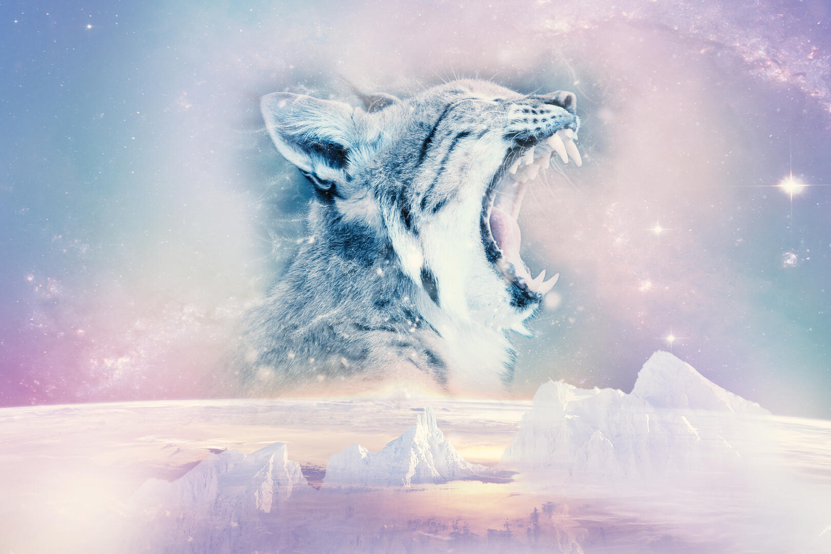 Opening Season Party R.E.D_Champéry