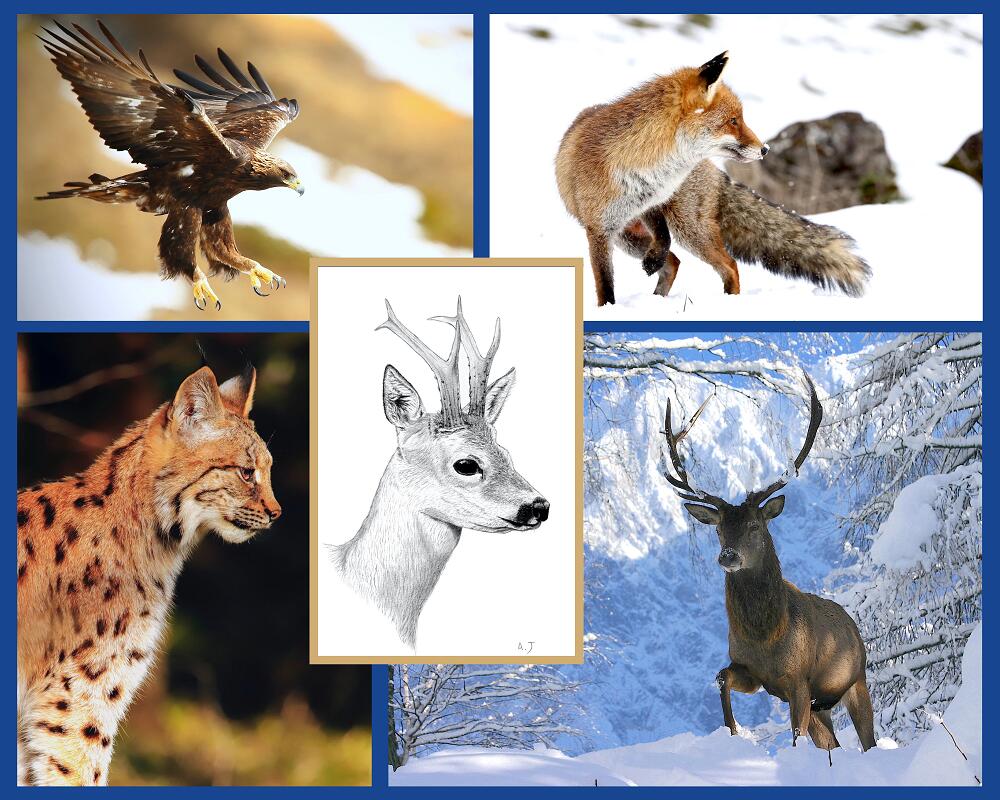 Exposition "La Face cachée du Mont-Blanc" au Centre Culturel de la Gorge_Les Contamines-Montjoie