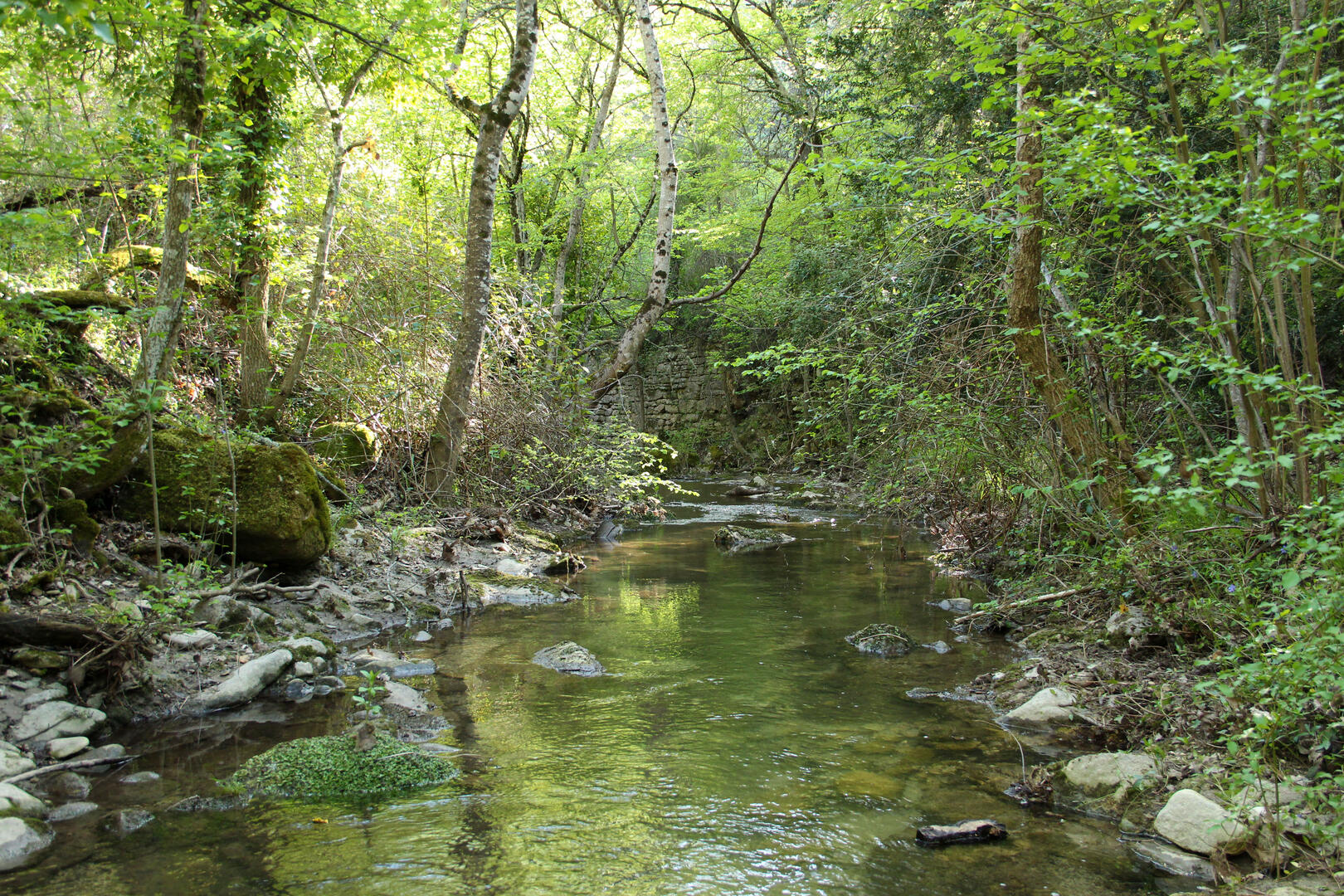 Vallon de l'Aiguebrun
